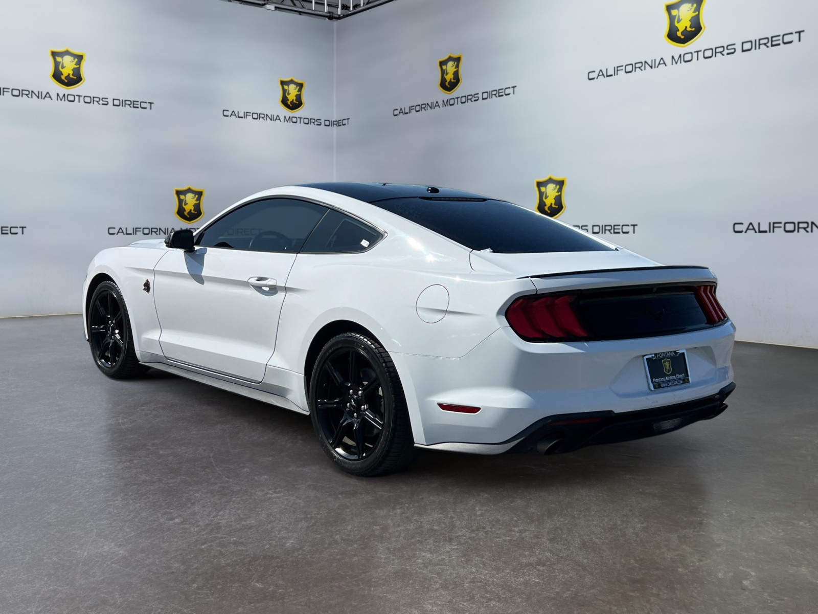 2019 Ford Mustang EcoBoost photo 3