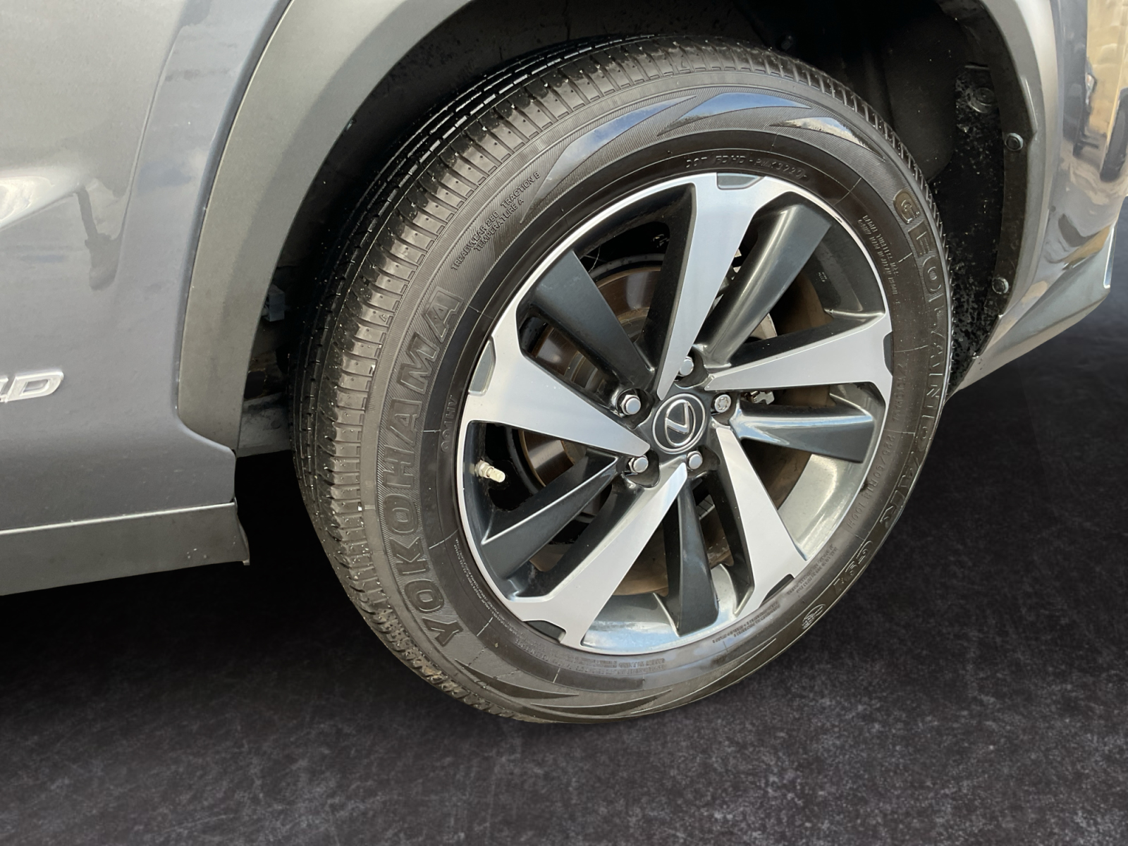 HERUNE ヒルネ　HRN-005 ライトグレー×ブラック M 3シーズン Sold 2021 Lexus NX 300h AWD in Fontana
