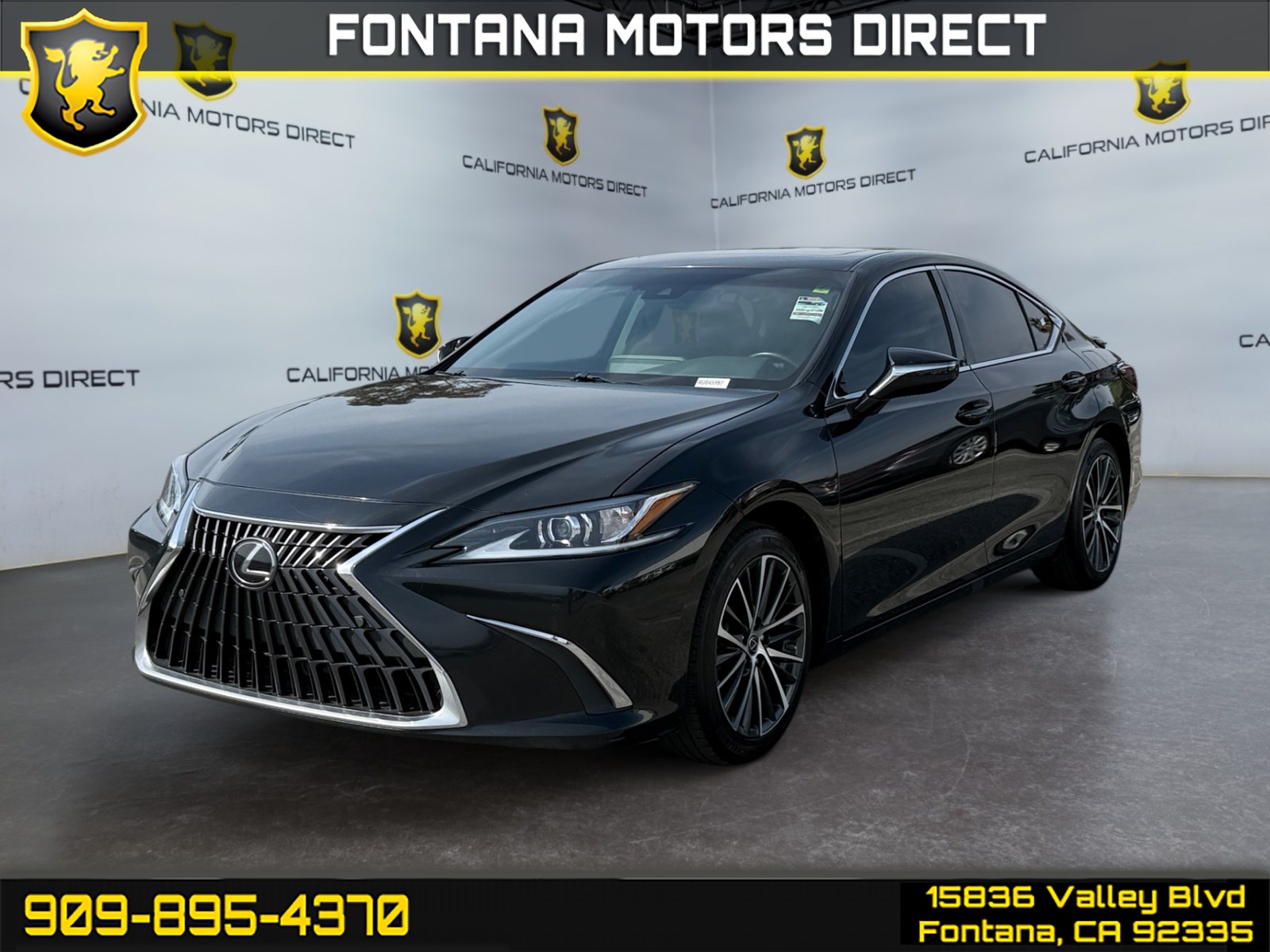 2024 Lexus ES 300h 300h's photo