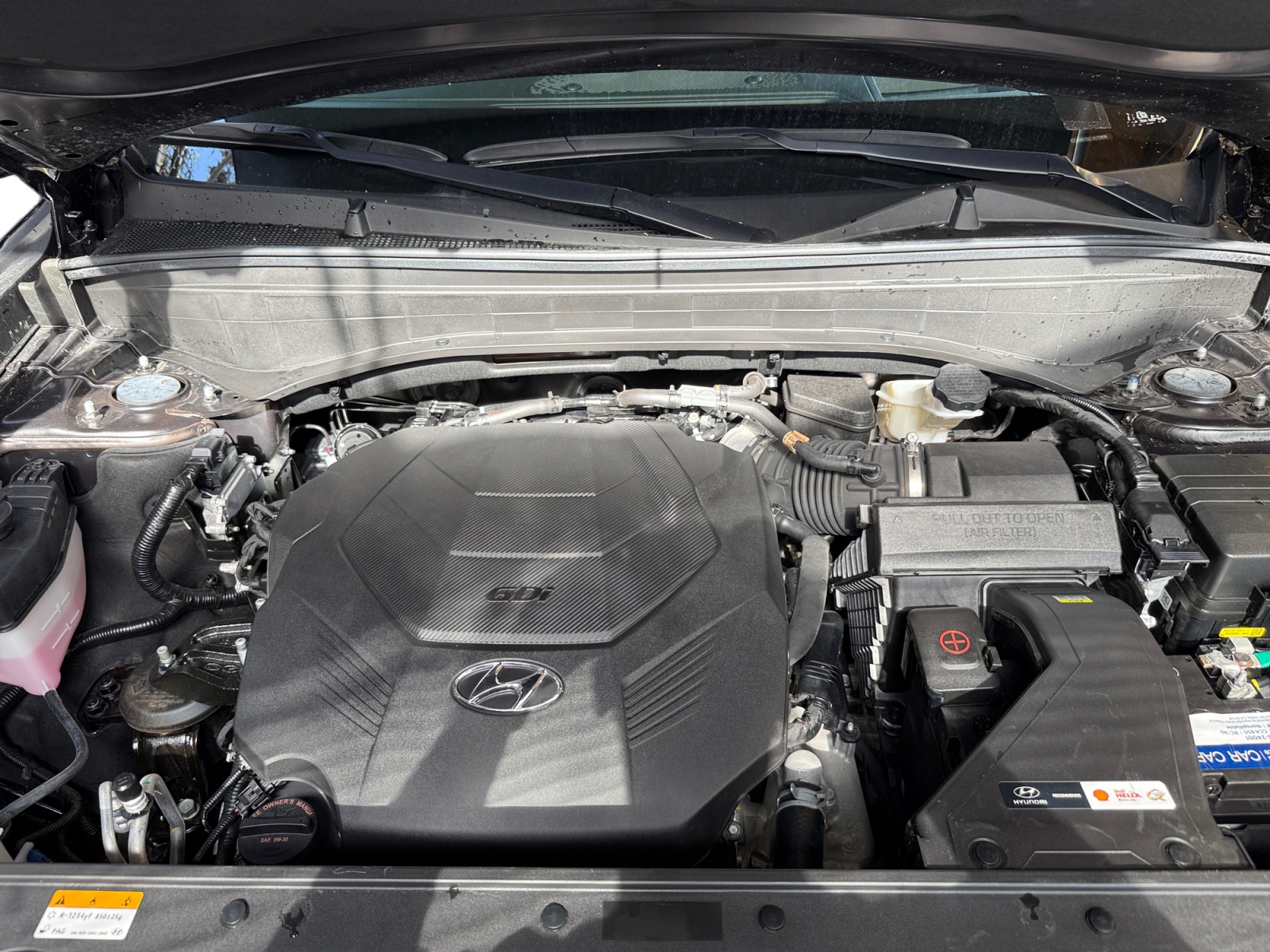 Image #15