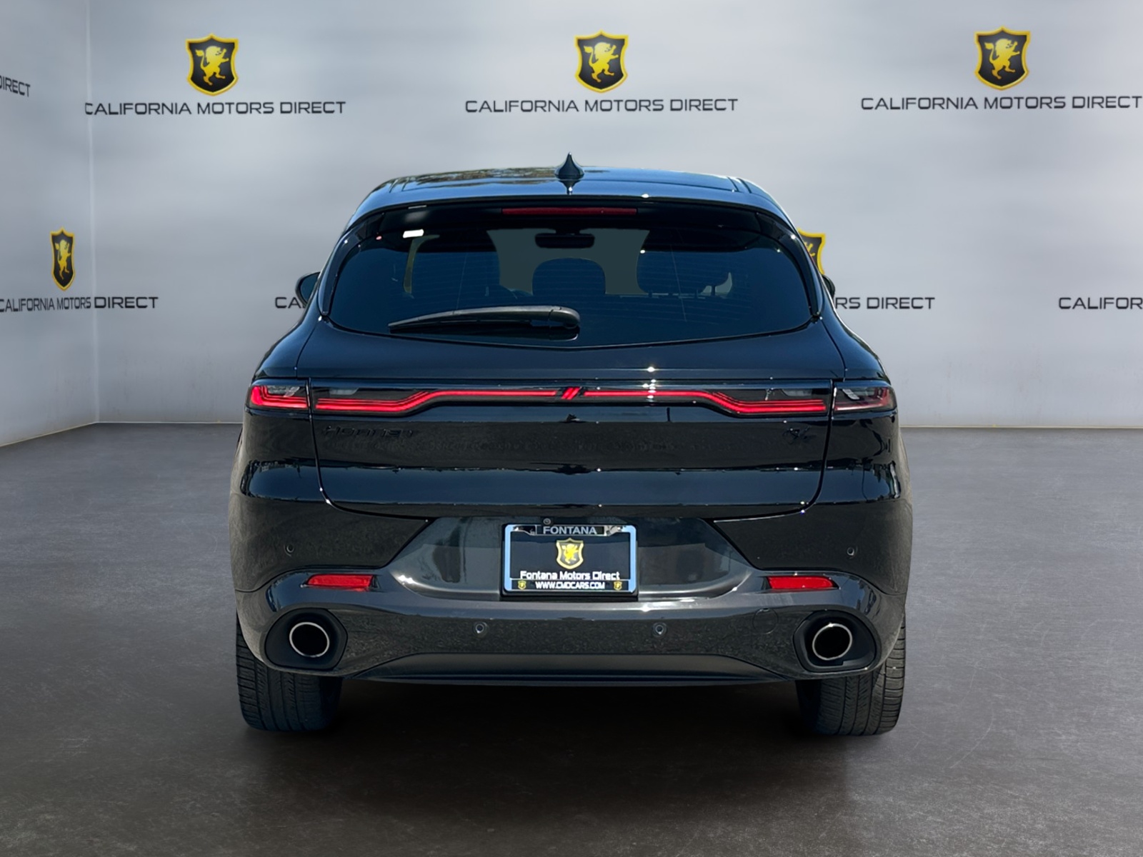 Dodge Hornet photo 4