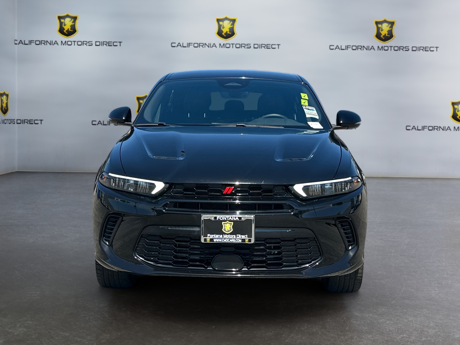 Dodge Hornet photo 8