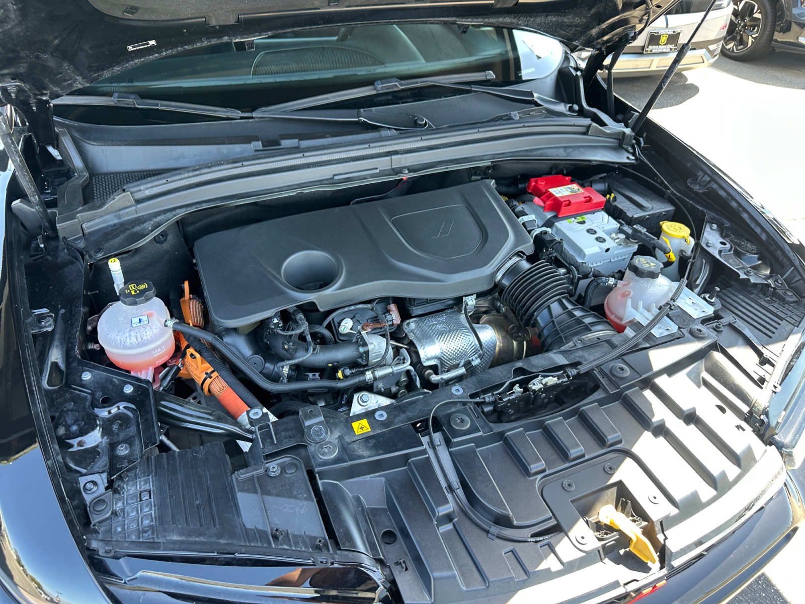 Dodge Hornet photo 28