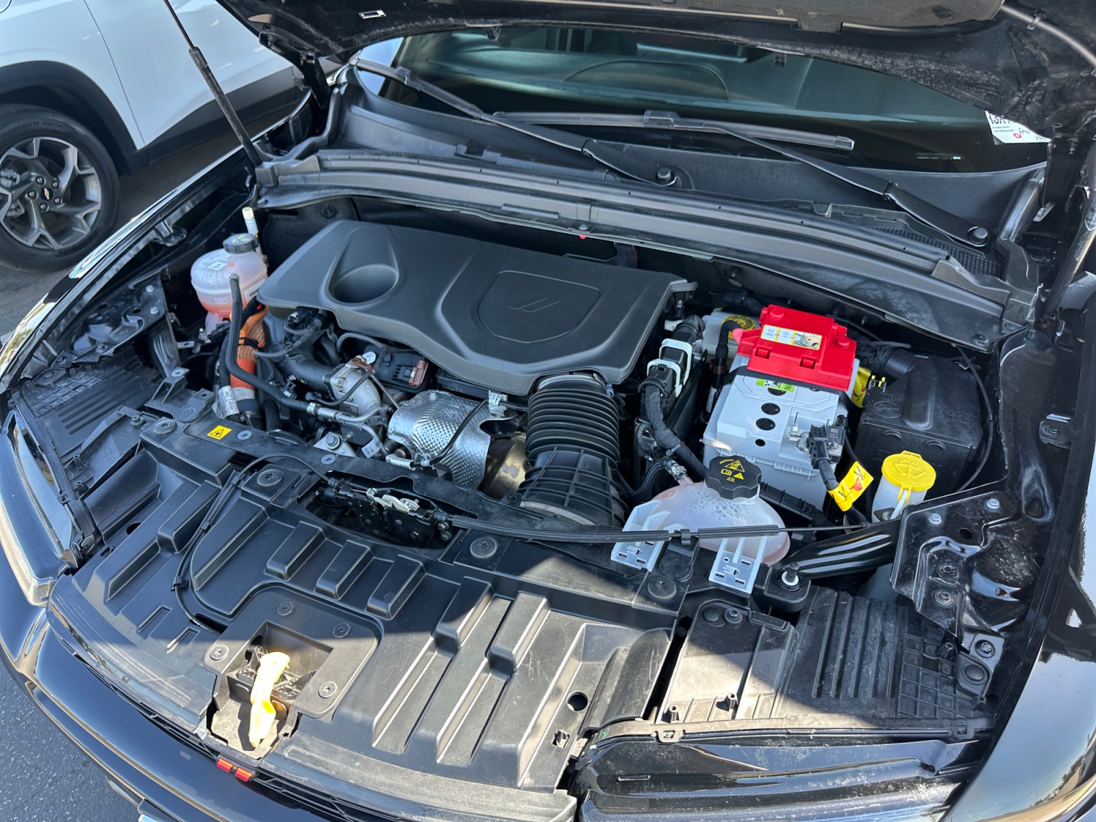 Dodge Hornet photo 29