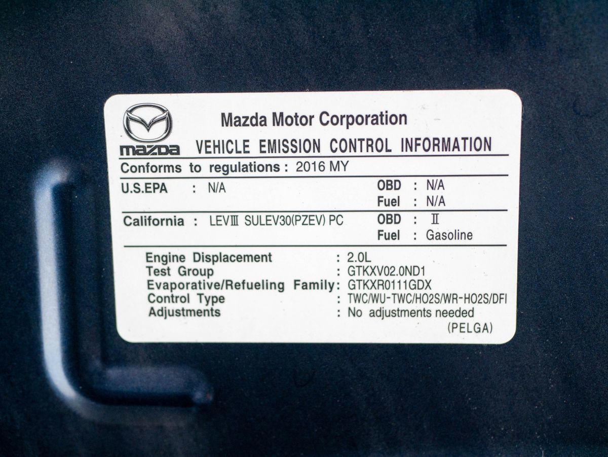 やまめページ 83285.jpg?width=1024&height=