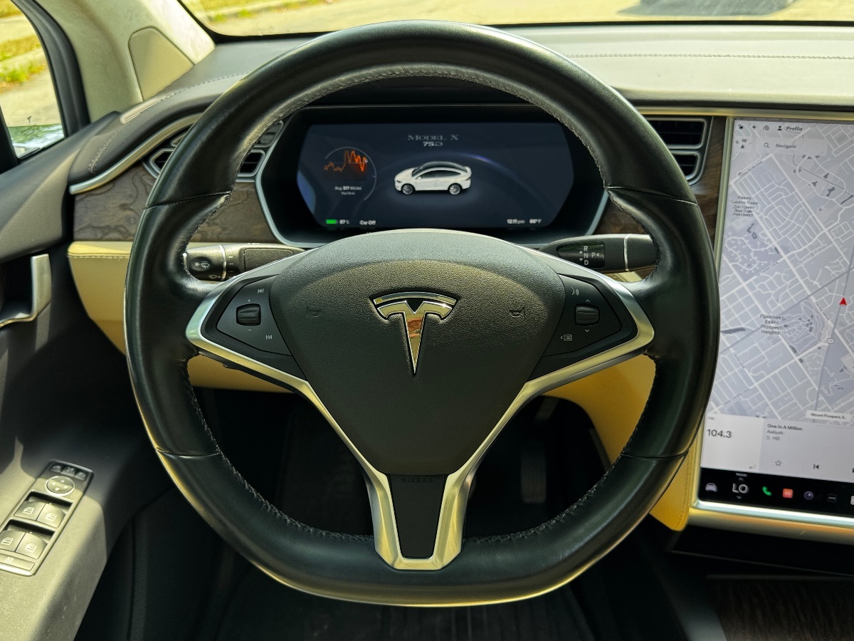 2017 Tesla Model X 75D photo 21