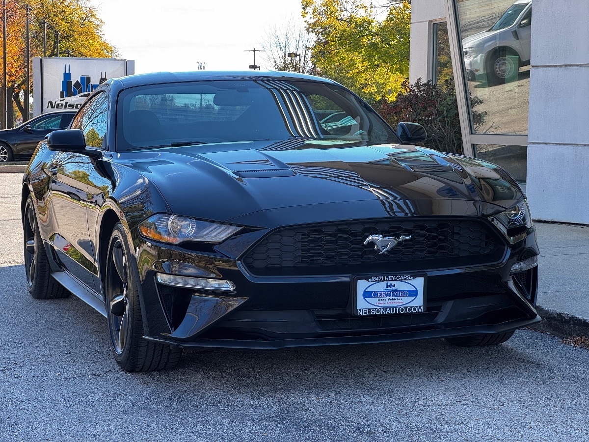 2019 Ford Mustang EcoBoost photo 3