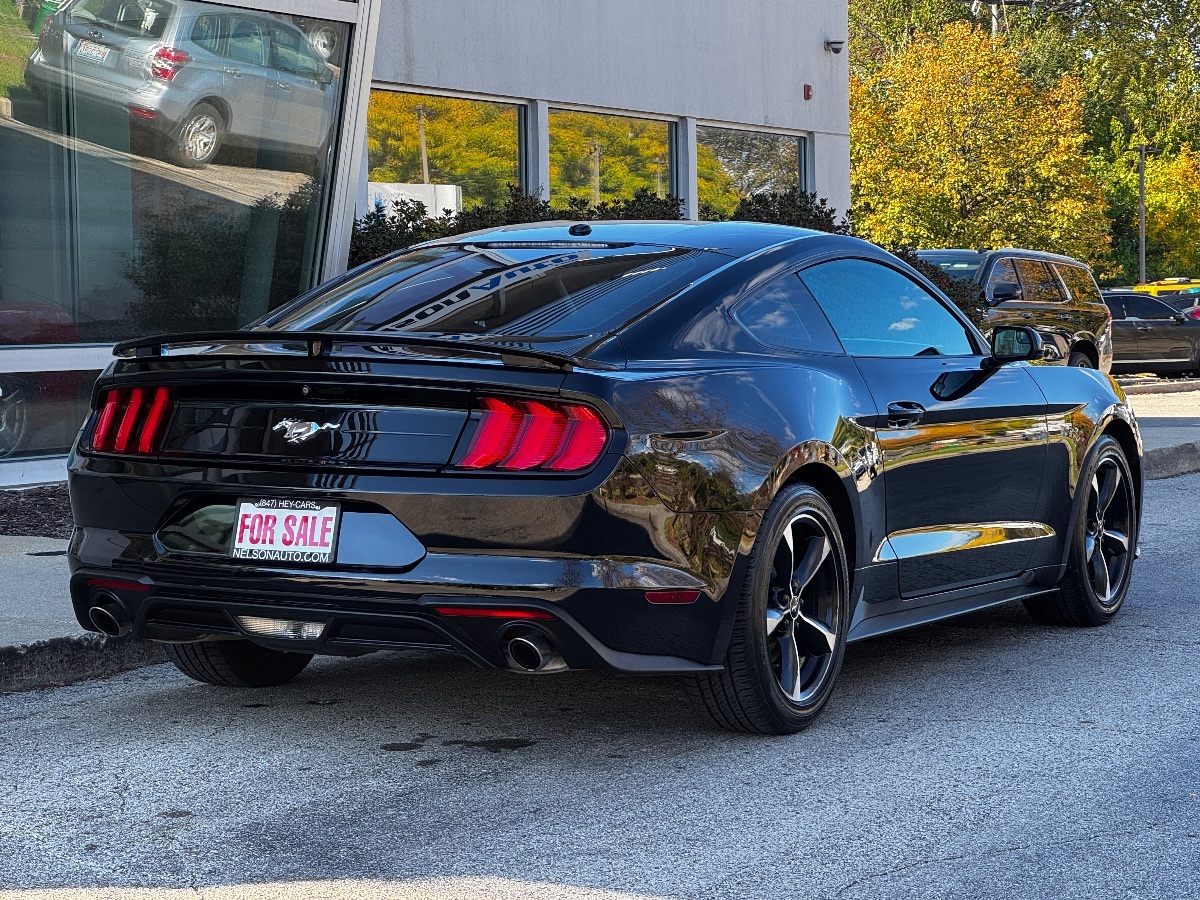 2019 Ford Mustang EcoBoost photo 4