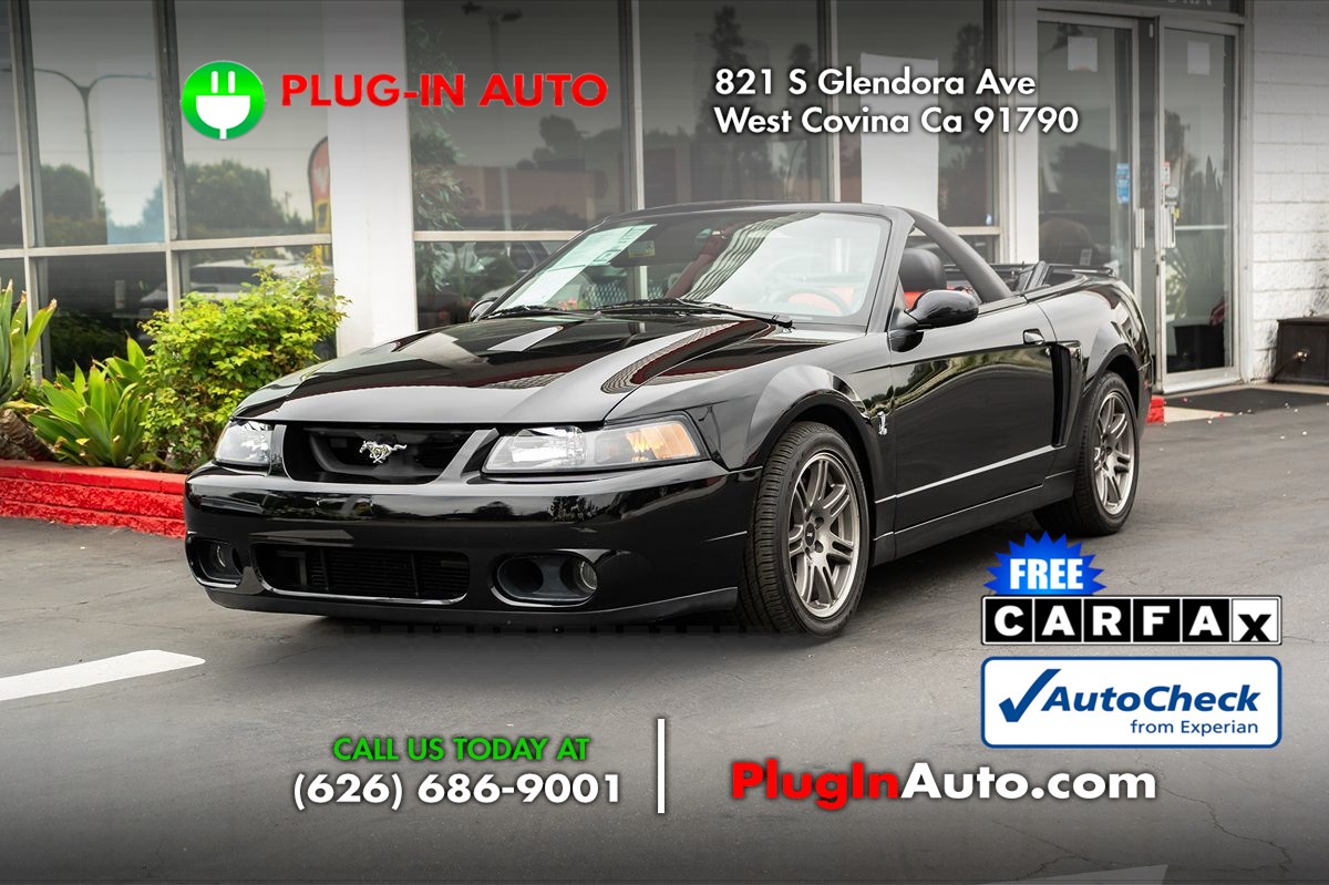 2003 Ford Mustang Cobra SVT's photo