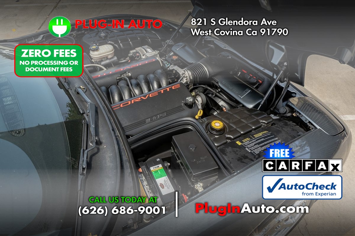 Image #13