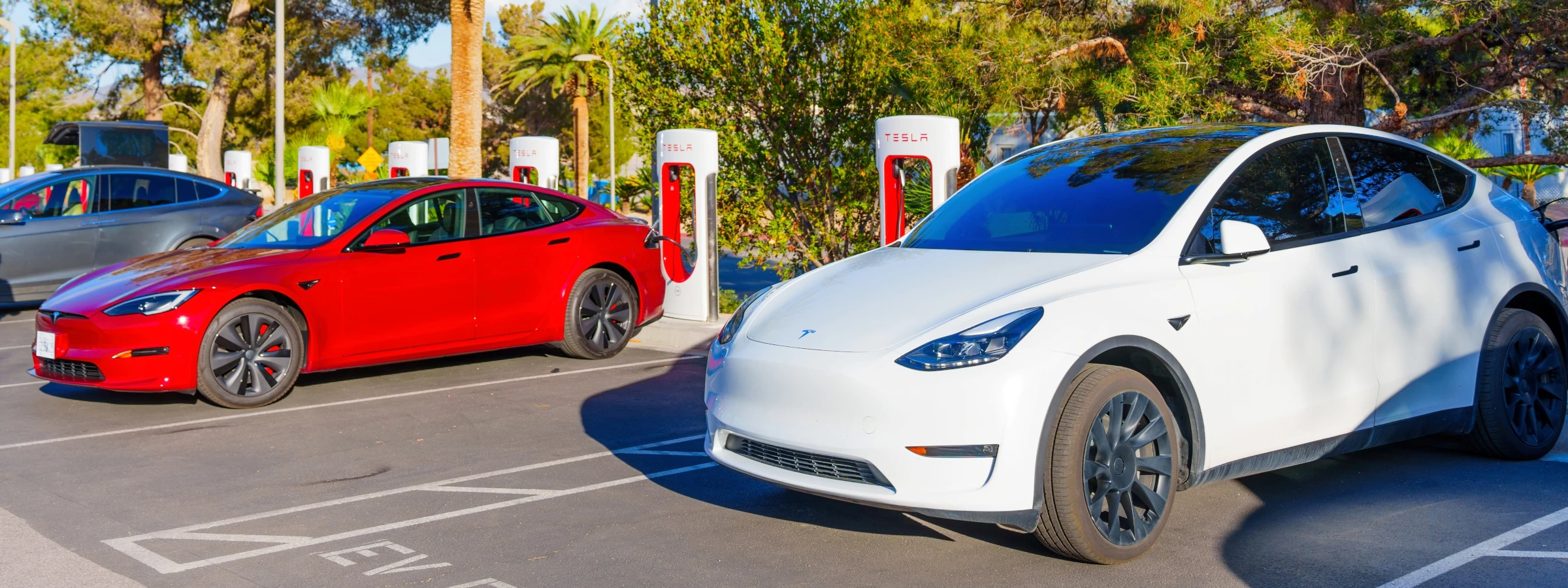 Teslas charging in a Los Angeles lot.