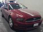2014 Ford Mustang V6 photo 4