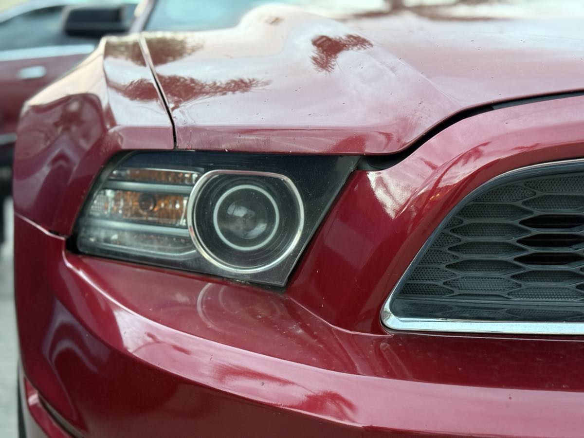 2014 Ford Mustang V6 photo 4