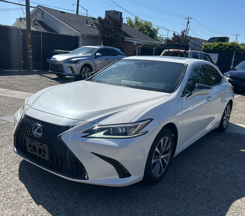 2019 Lexus ES 300h 300h's photo