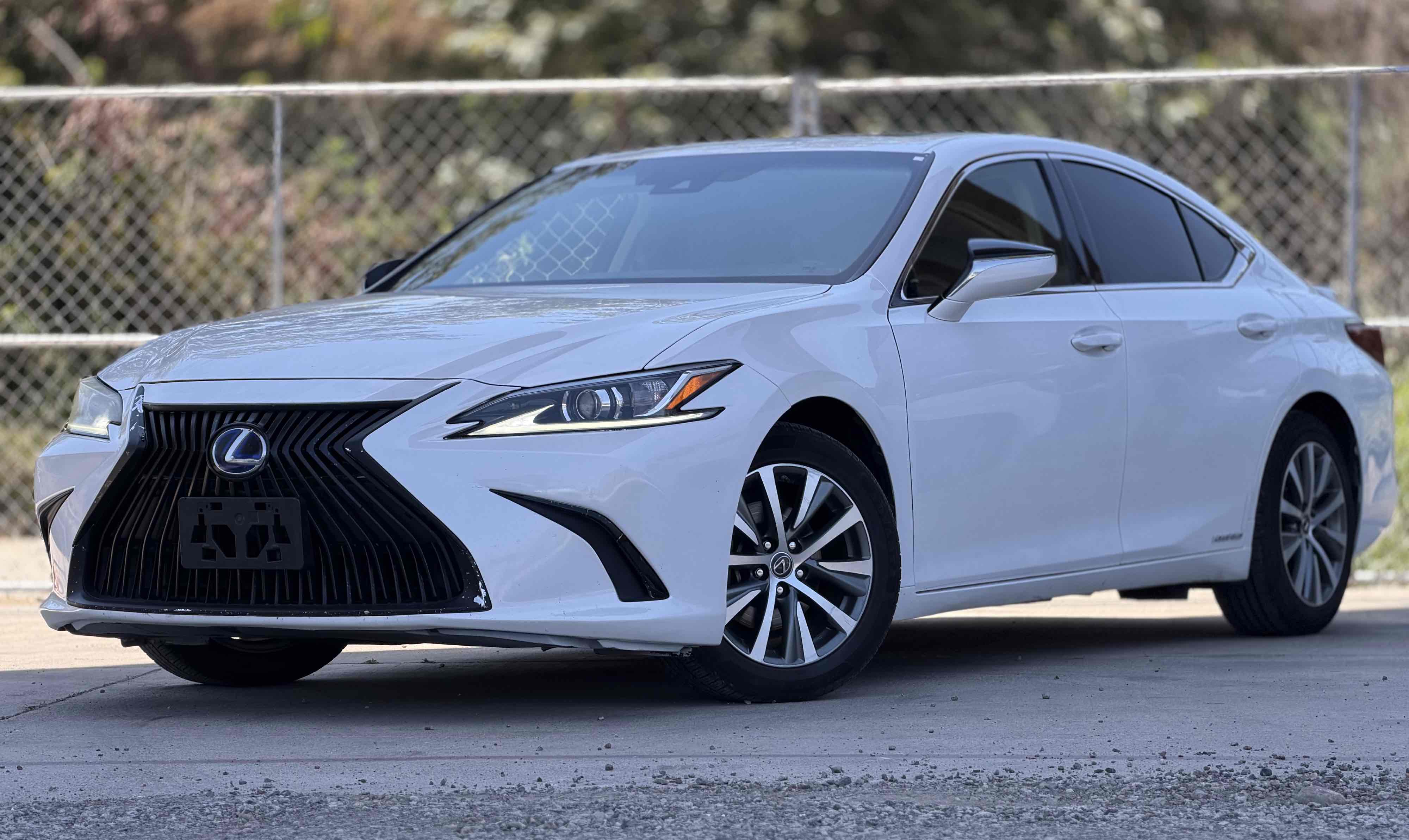 2019 Lexus ES 300h 300h's photo