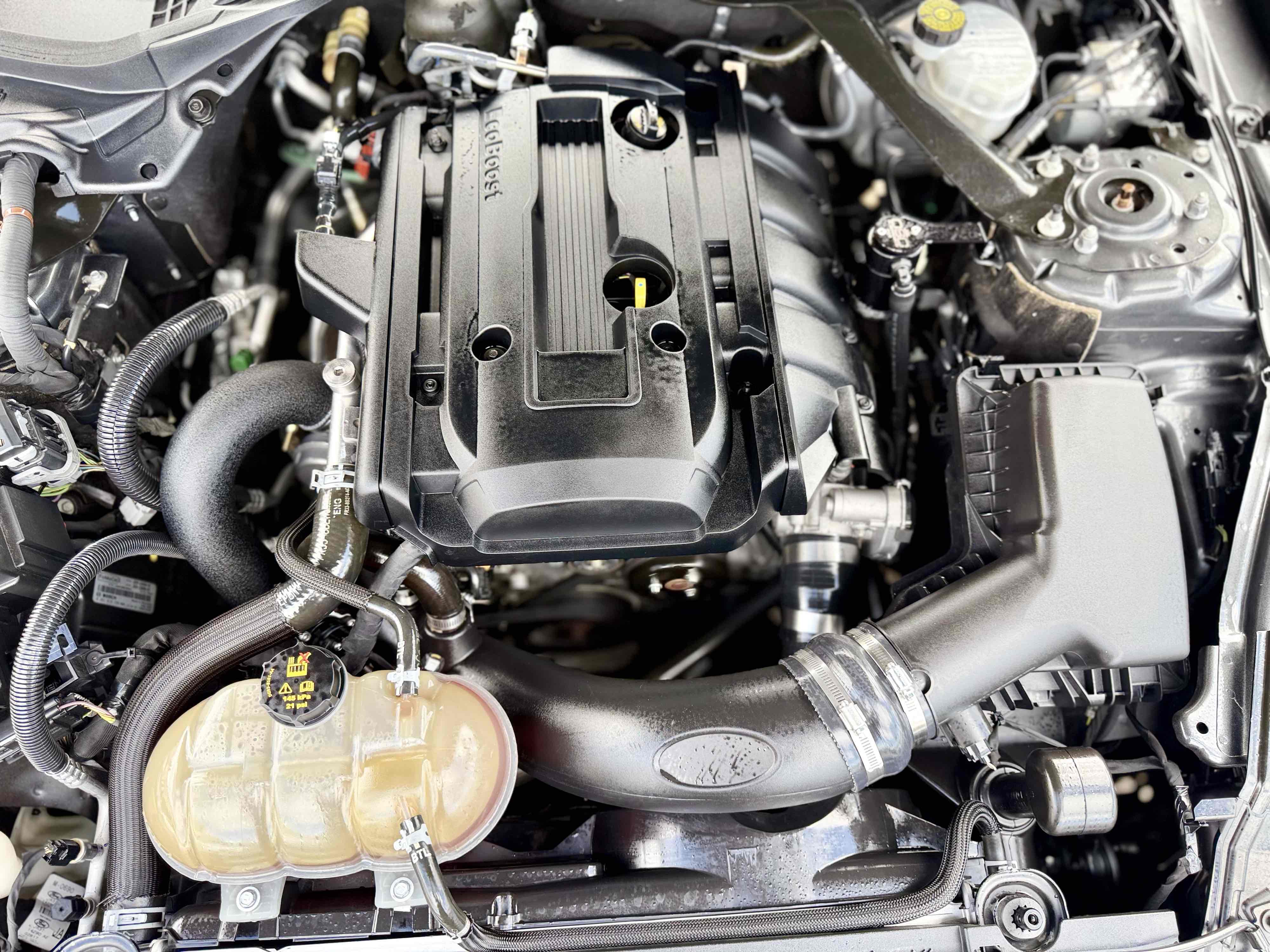 Photo 14 of this Ford Mustang