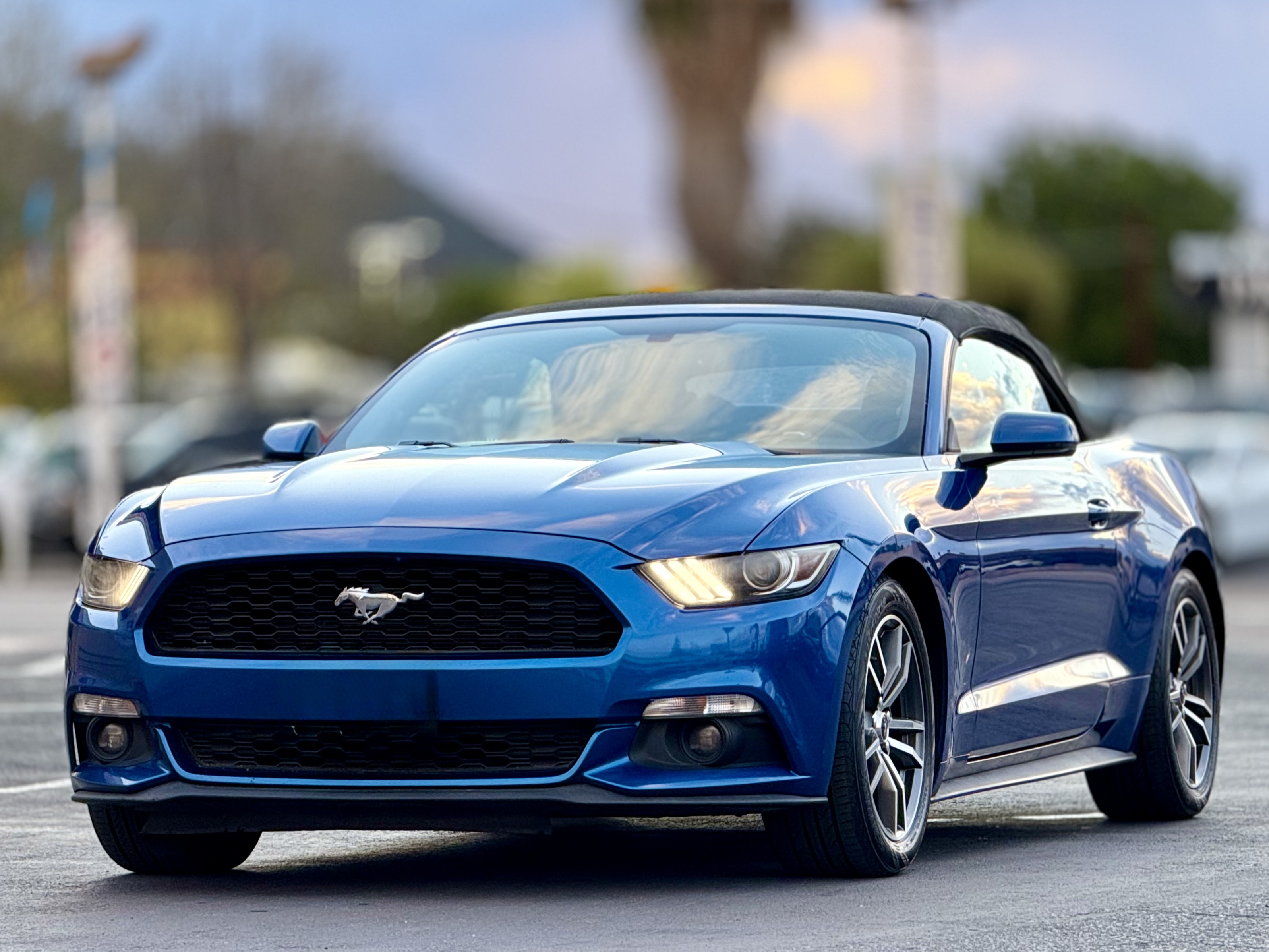 Photo 6 of this Ford Mustang