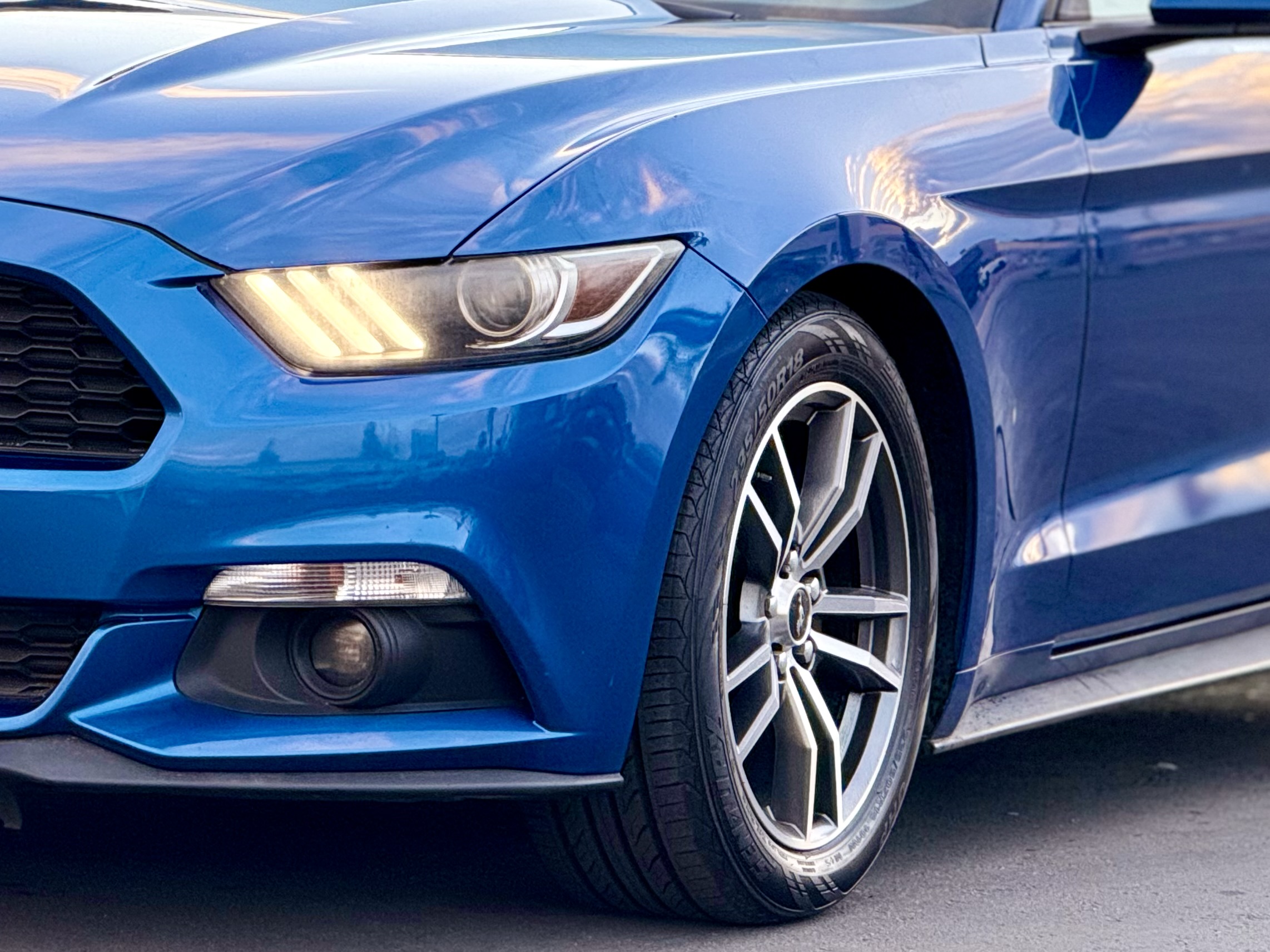 Photo 8 of this Ford Mustang