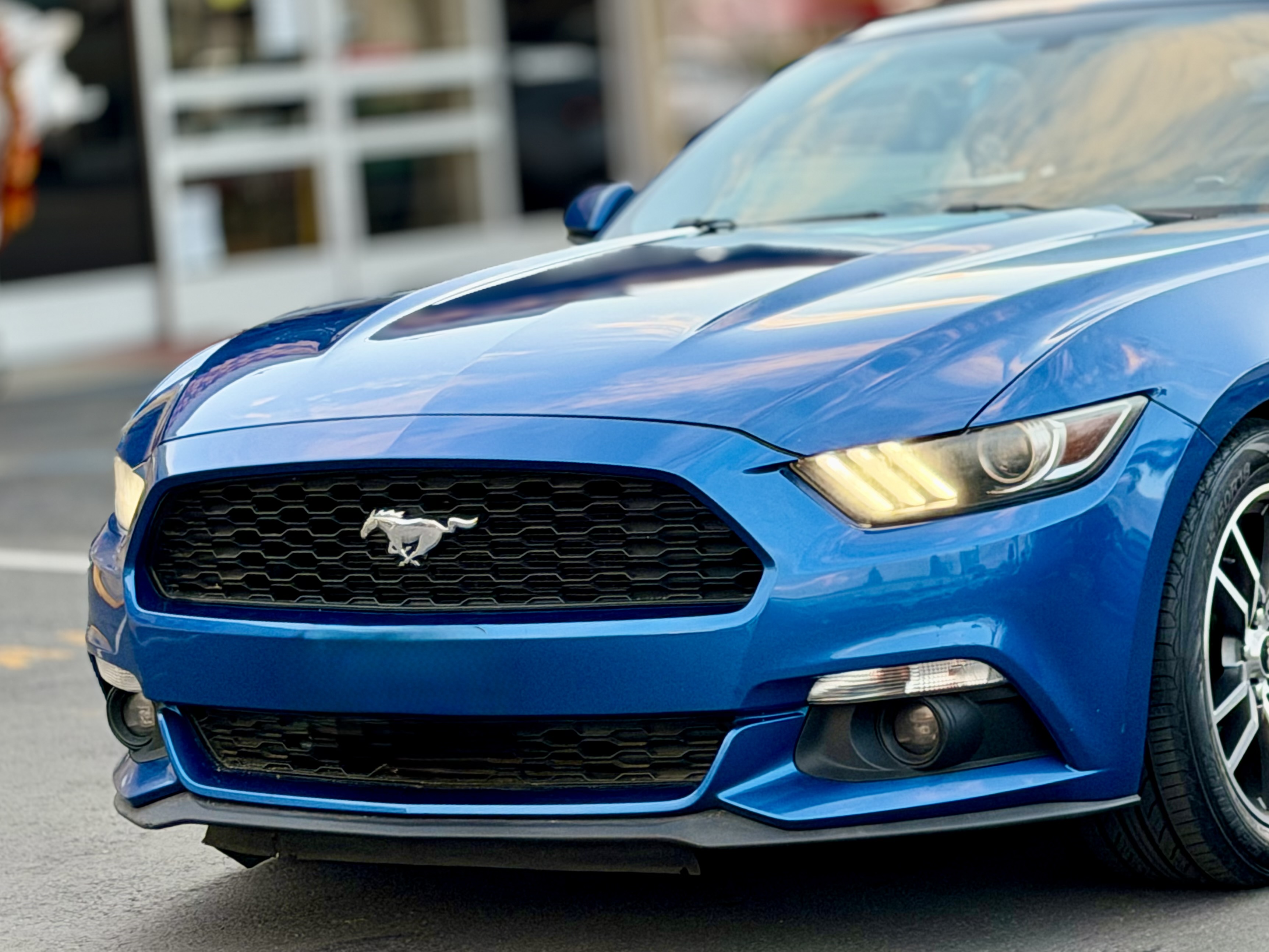 Photo 7 of this Ford Mustang
