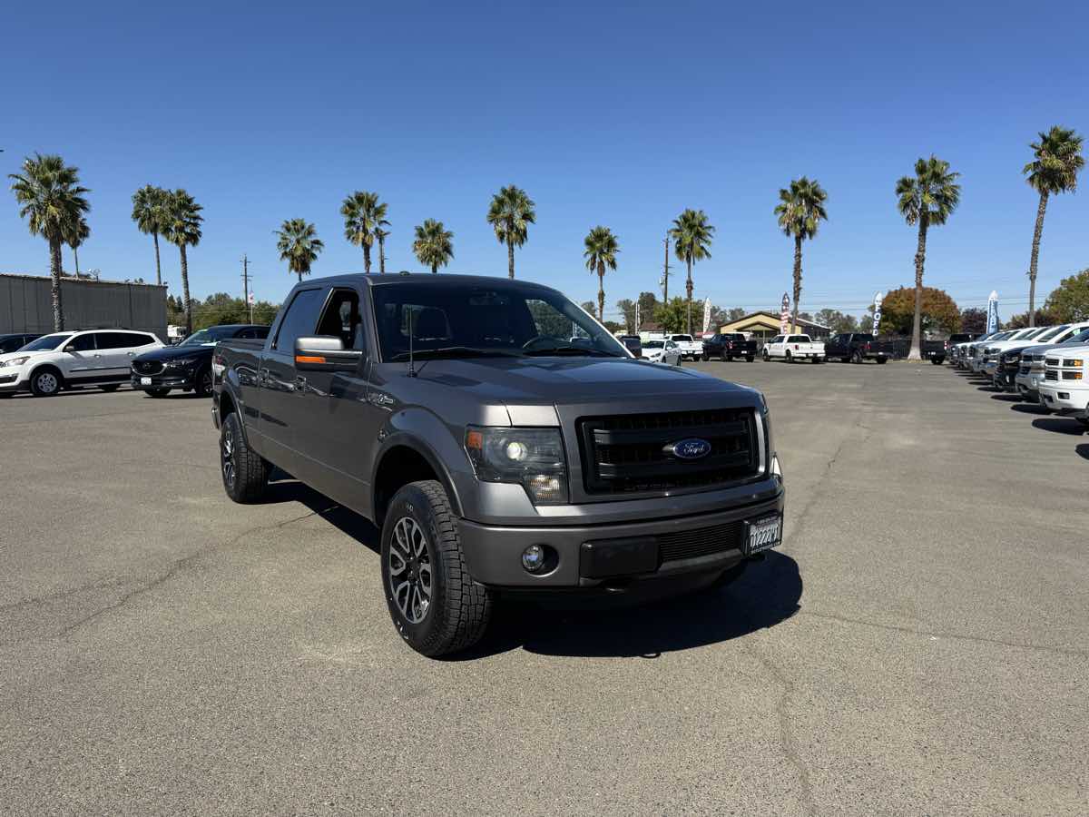 2013 Ford F-150 FX4 photo 3