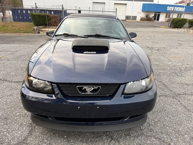 2003 Ford Mustang GT Deluxe photo 3