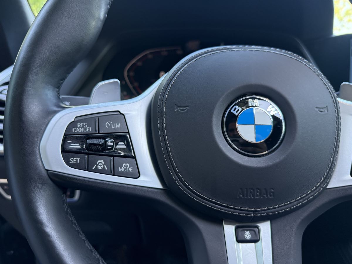2019 Bmw X5 xDrive40i M photo 14