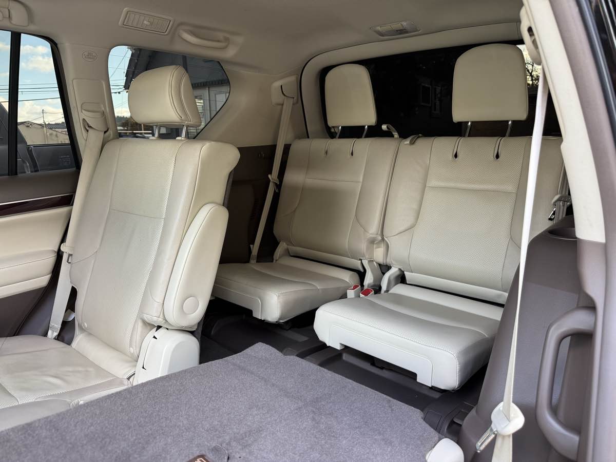 2017 Lexus GX 460 photo 6
