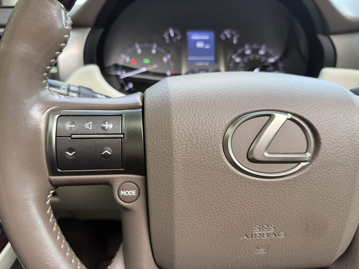 2017 Lexus GX 460 photo 20