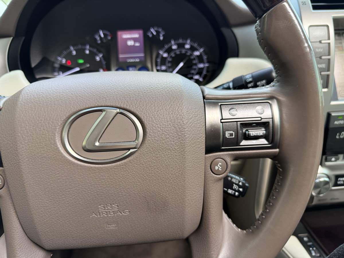 2017 Lexus GX 460 photo 21