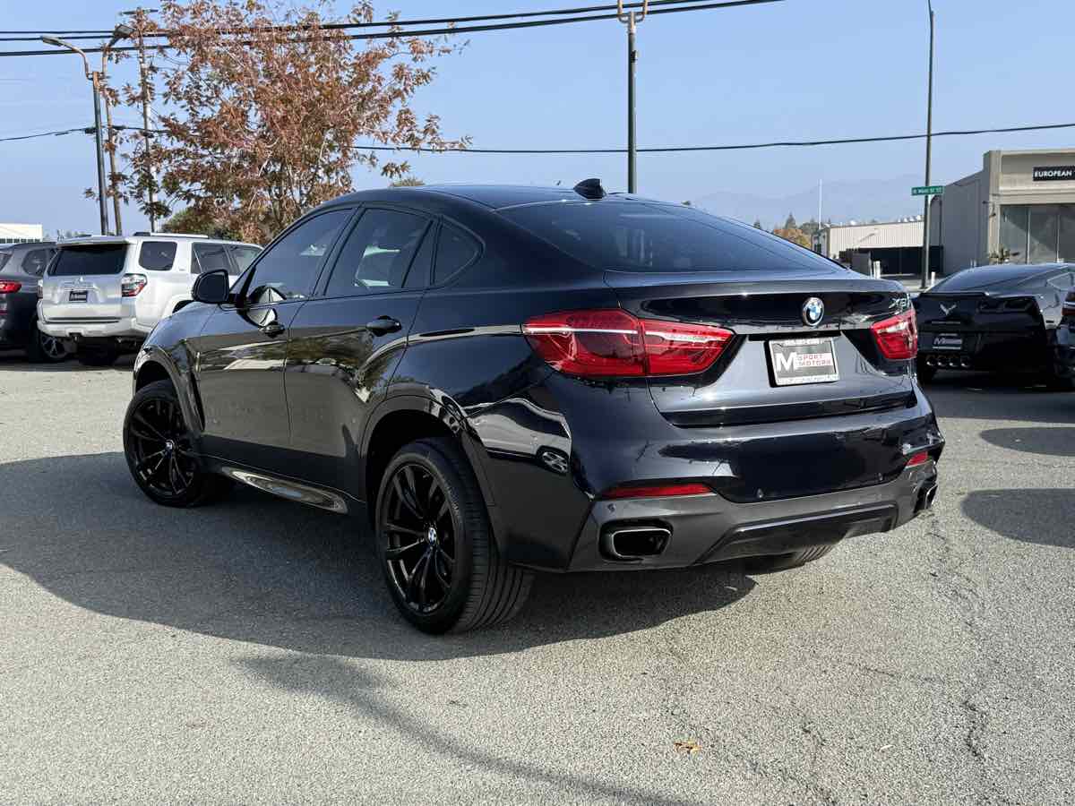 2019 Bmw X6 sDrive35i photo 3