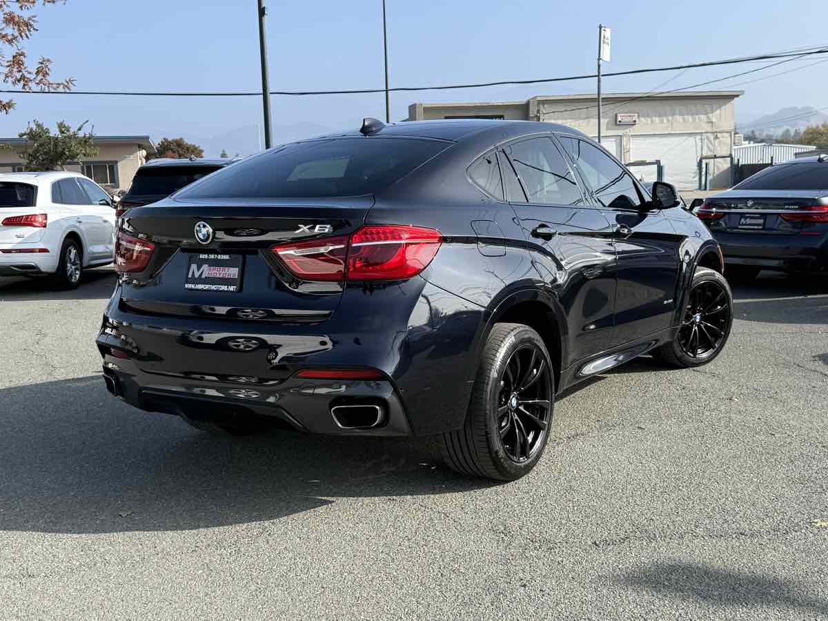 2019 Bmw X6 sDrive35i photo 4