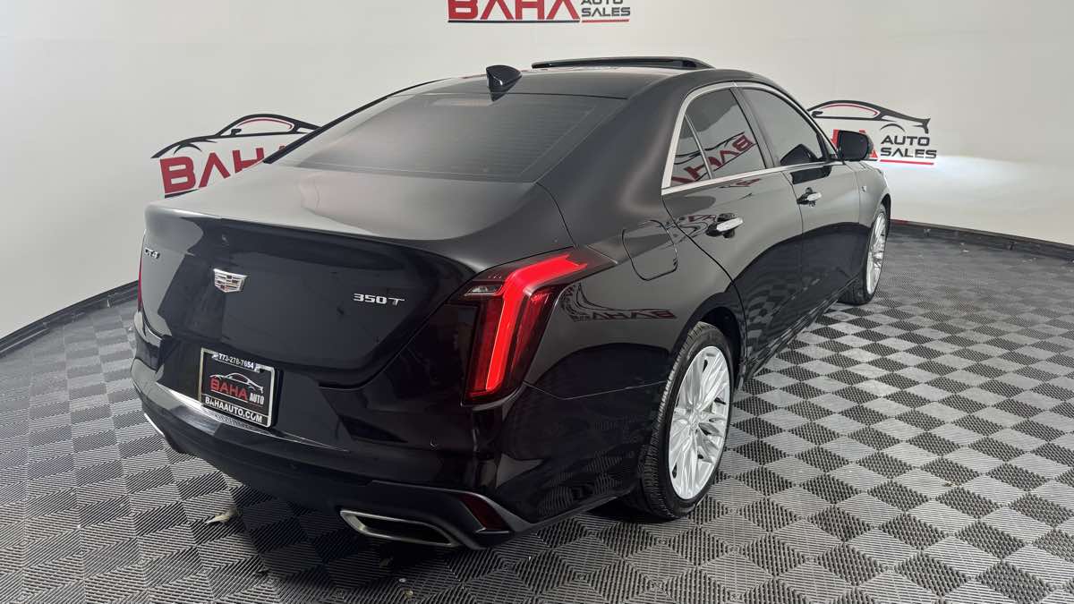 Image #6