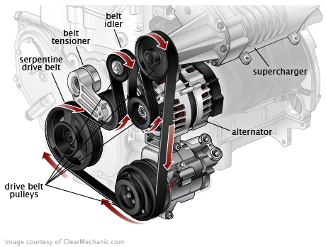 Serpentine Belt