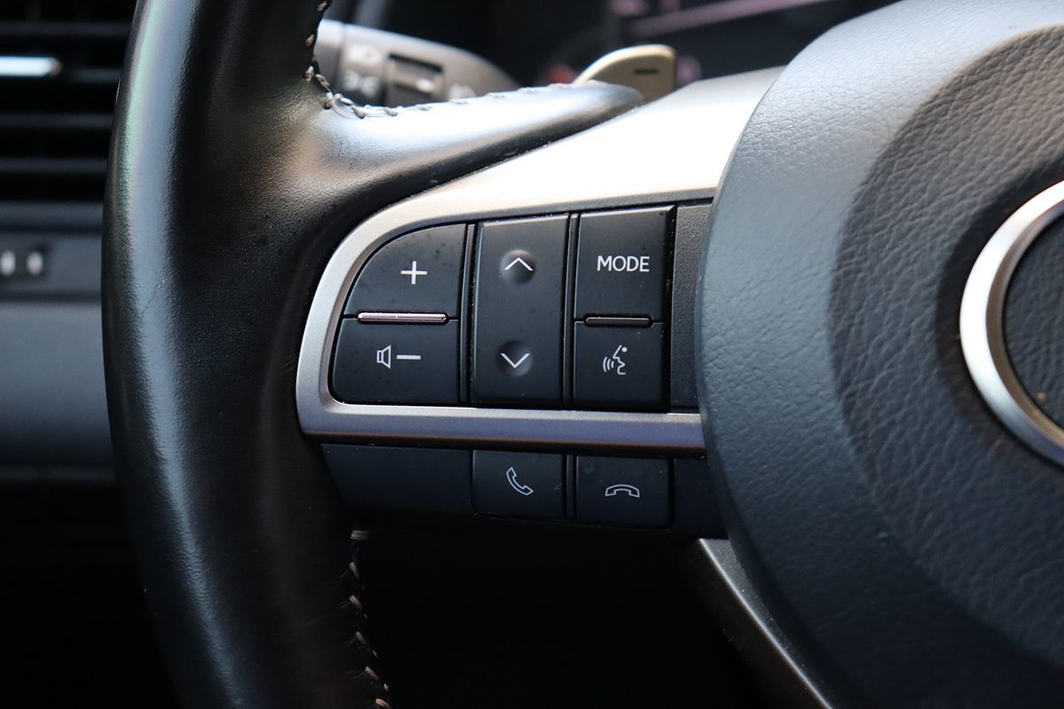 2022 Lexus RX 350L photo 18