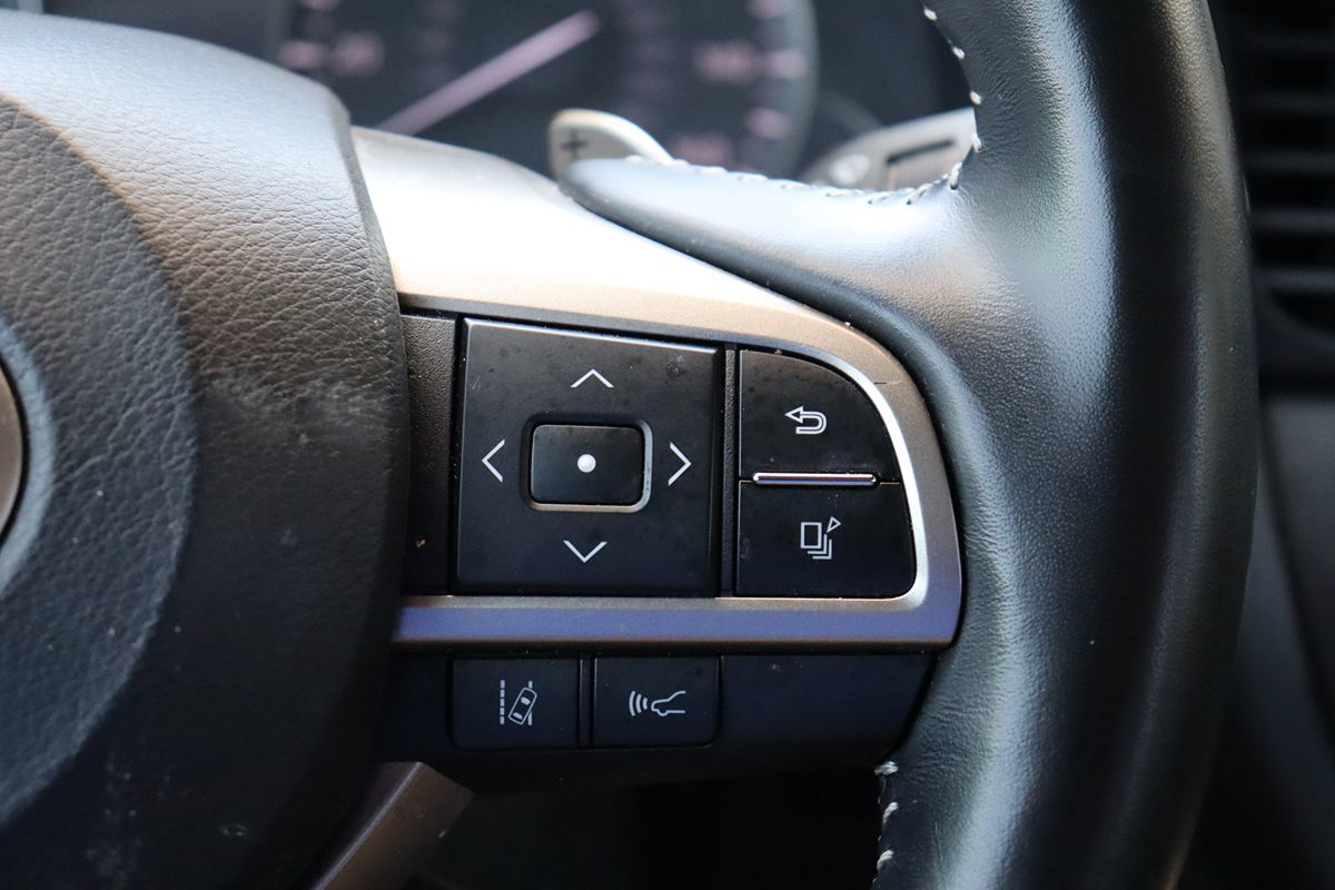 2022 Lexus RX 350L photo 19