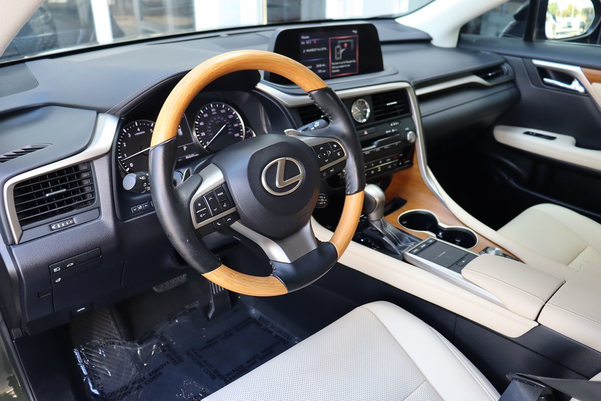 Image #13
