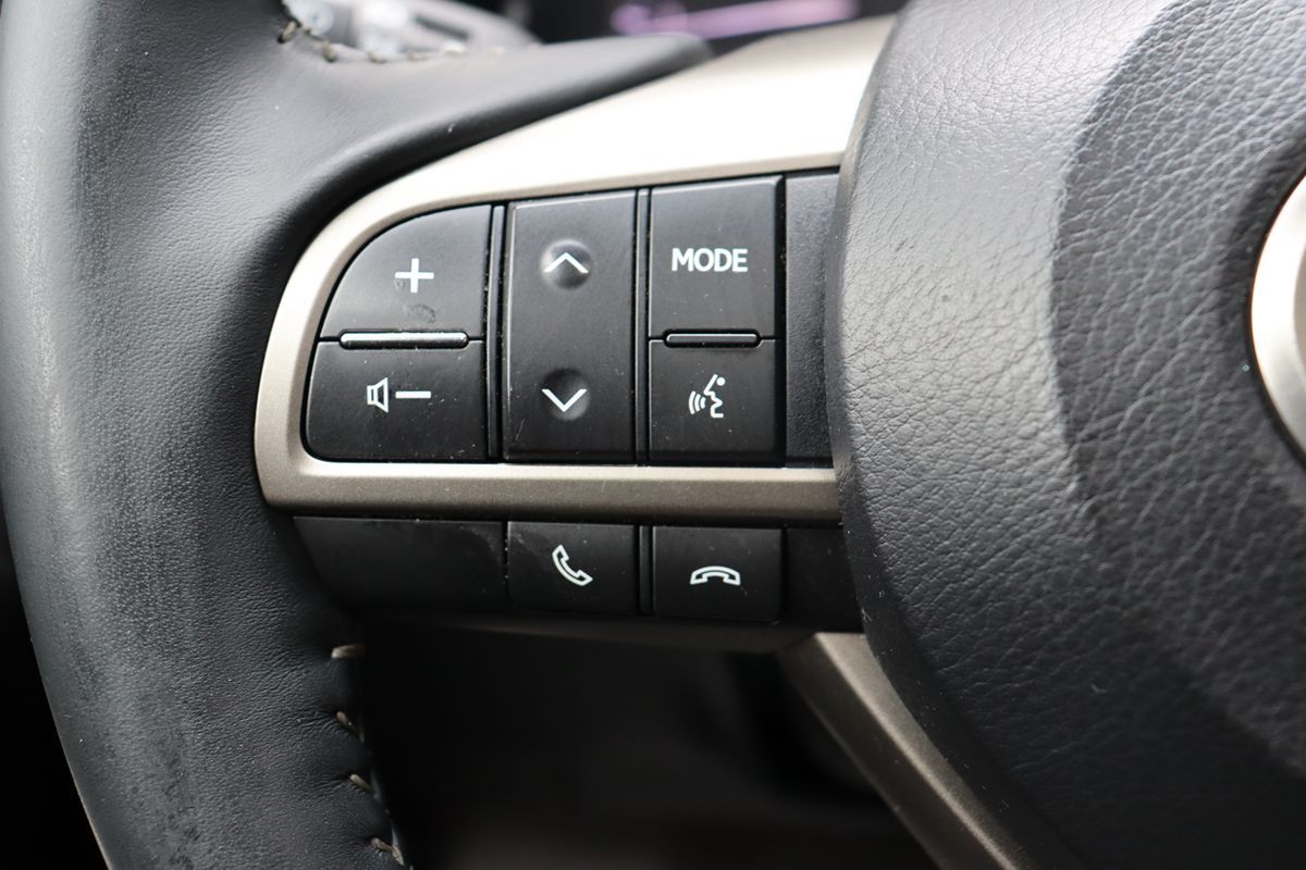 Image #16
