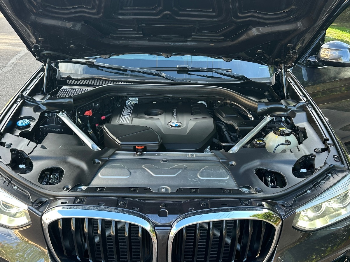 2019 Bmw X3 xDrive30i photo 60