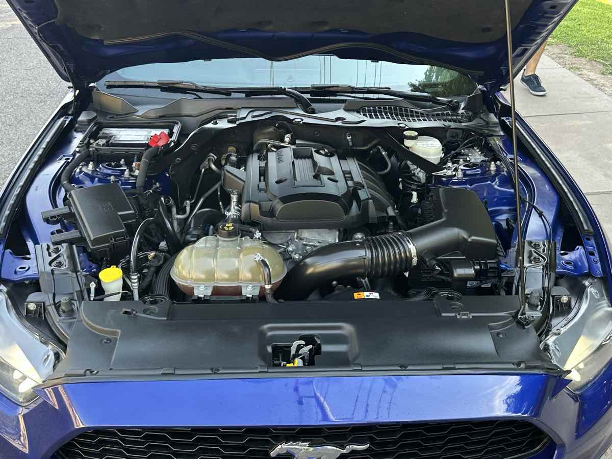 2016 Ford Mustang EcoBoost Premium photo 2