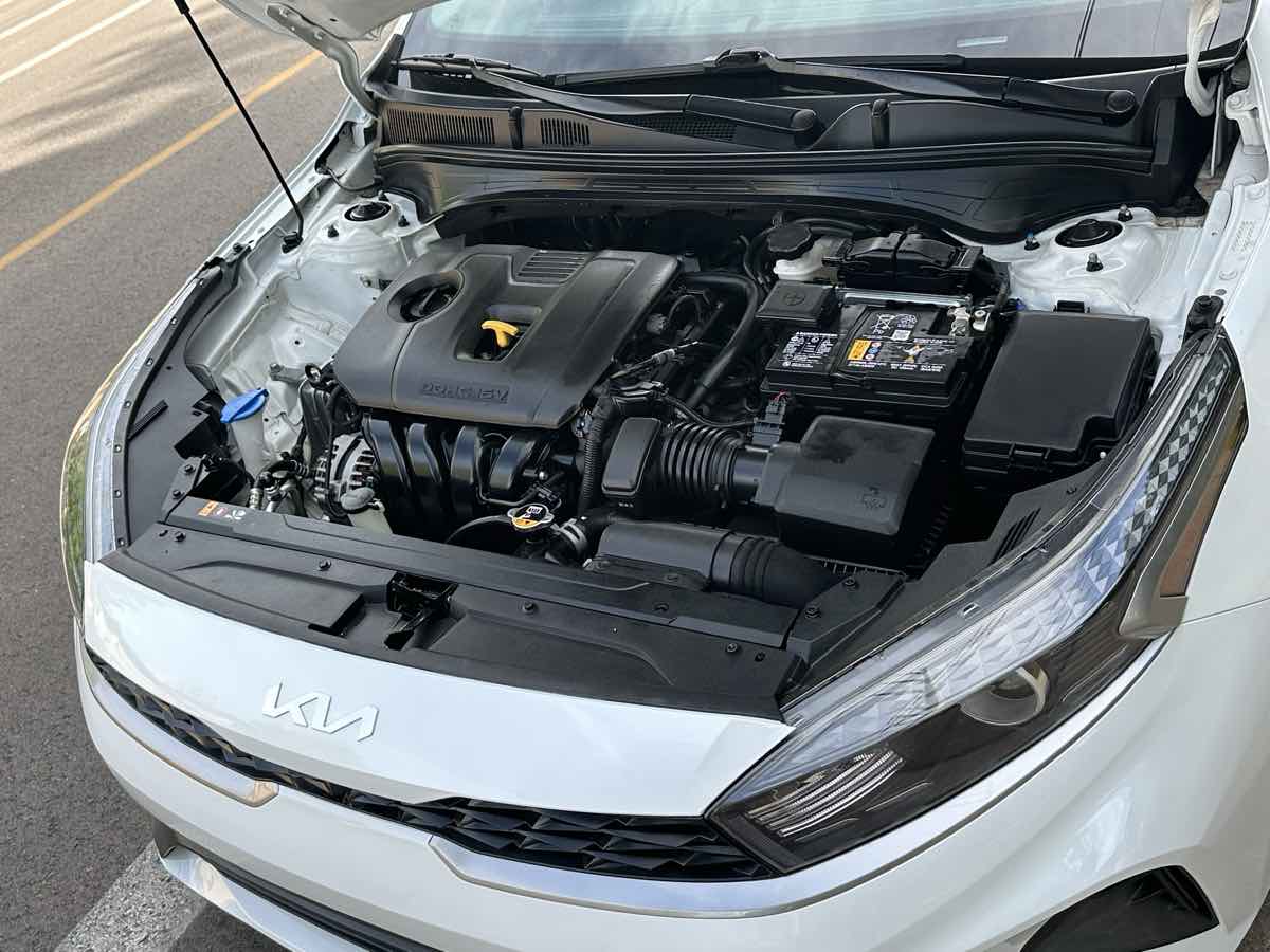 Kia Forte photo 52