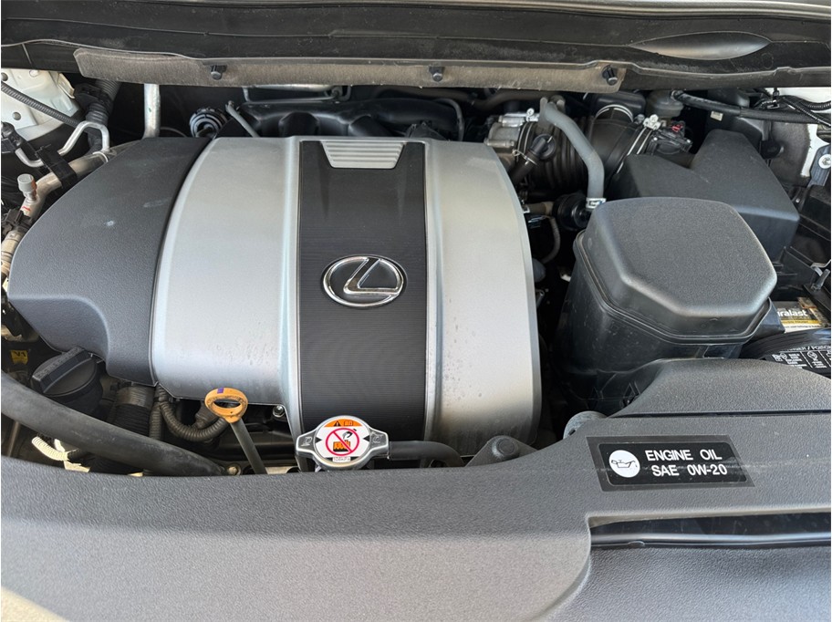 Image #28