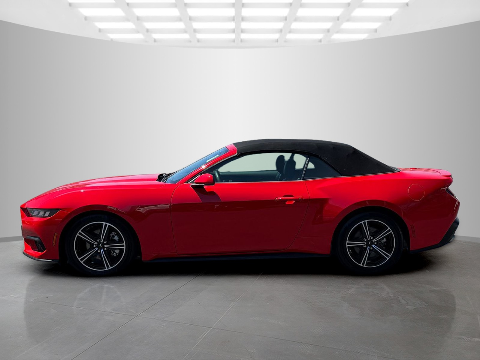 2024 Ford Mustang EcoBoost Premium - Photo 2