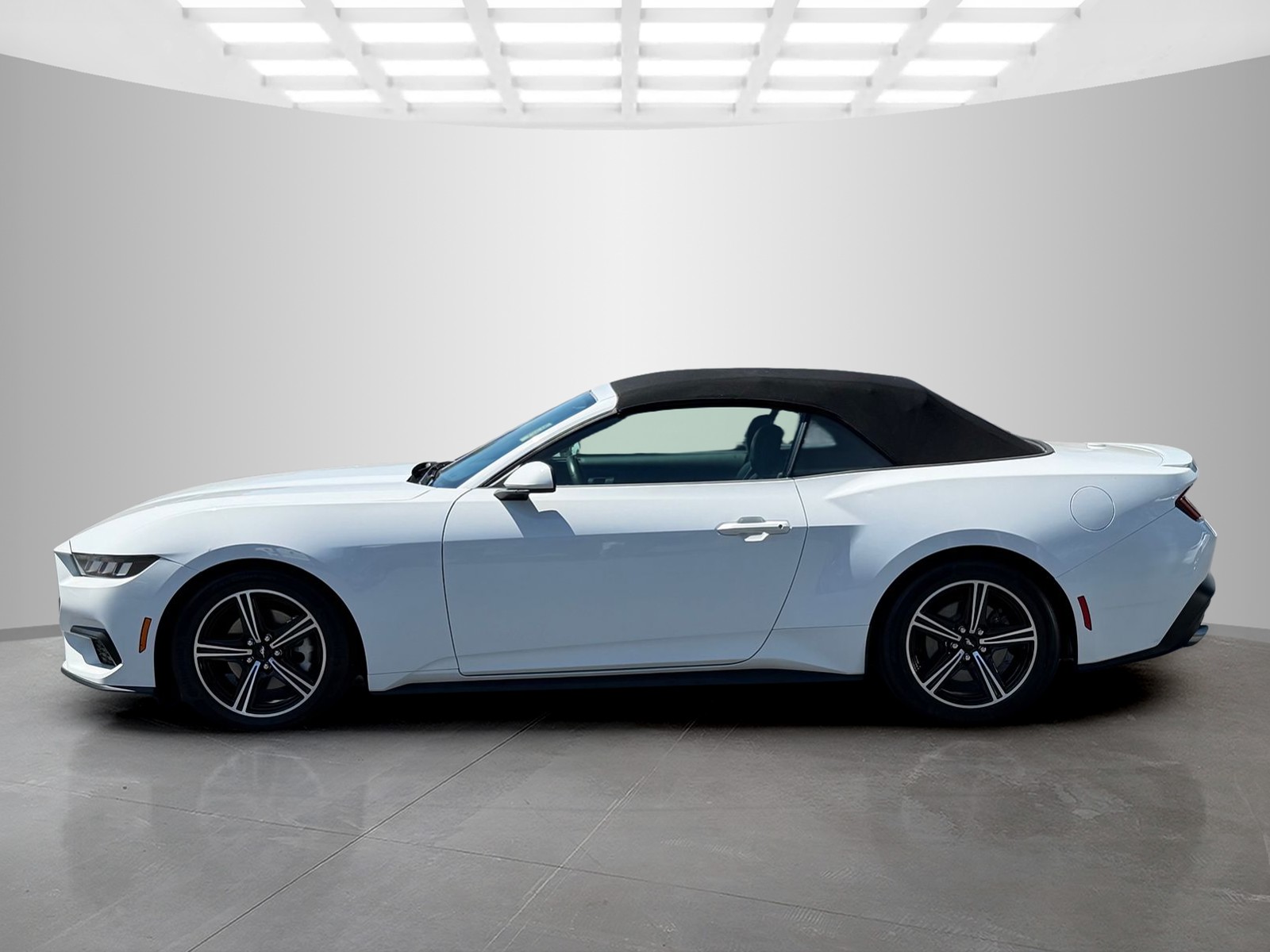2024 Ford Mustang EcoBoost Premium - Photo 2