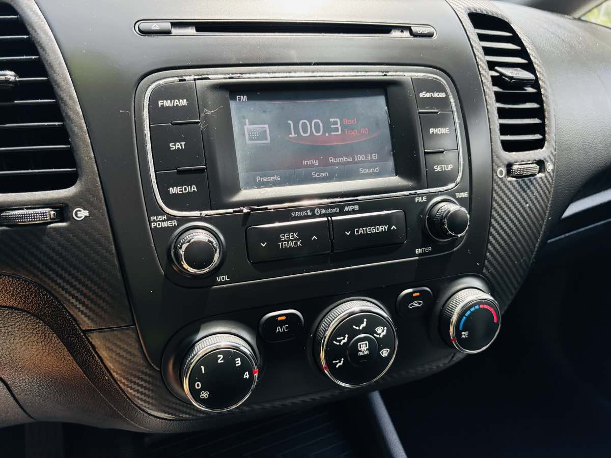 2015 Kia Forte 5-Door EX photo 2
