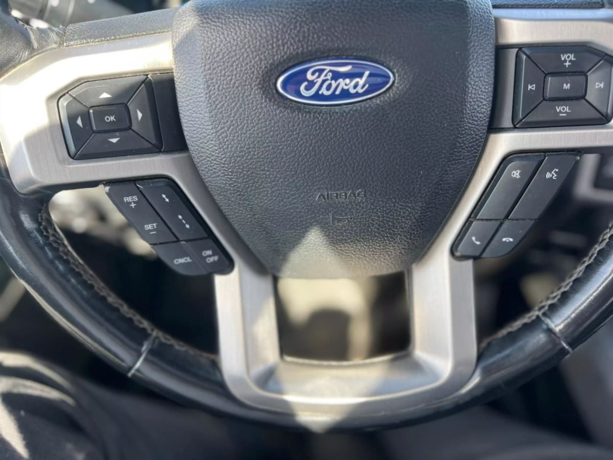 2019 Ford F-150 Platinum photo 2