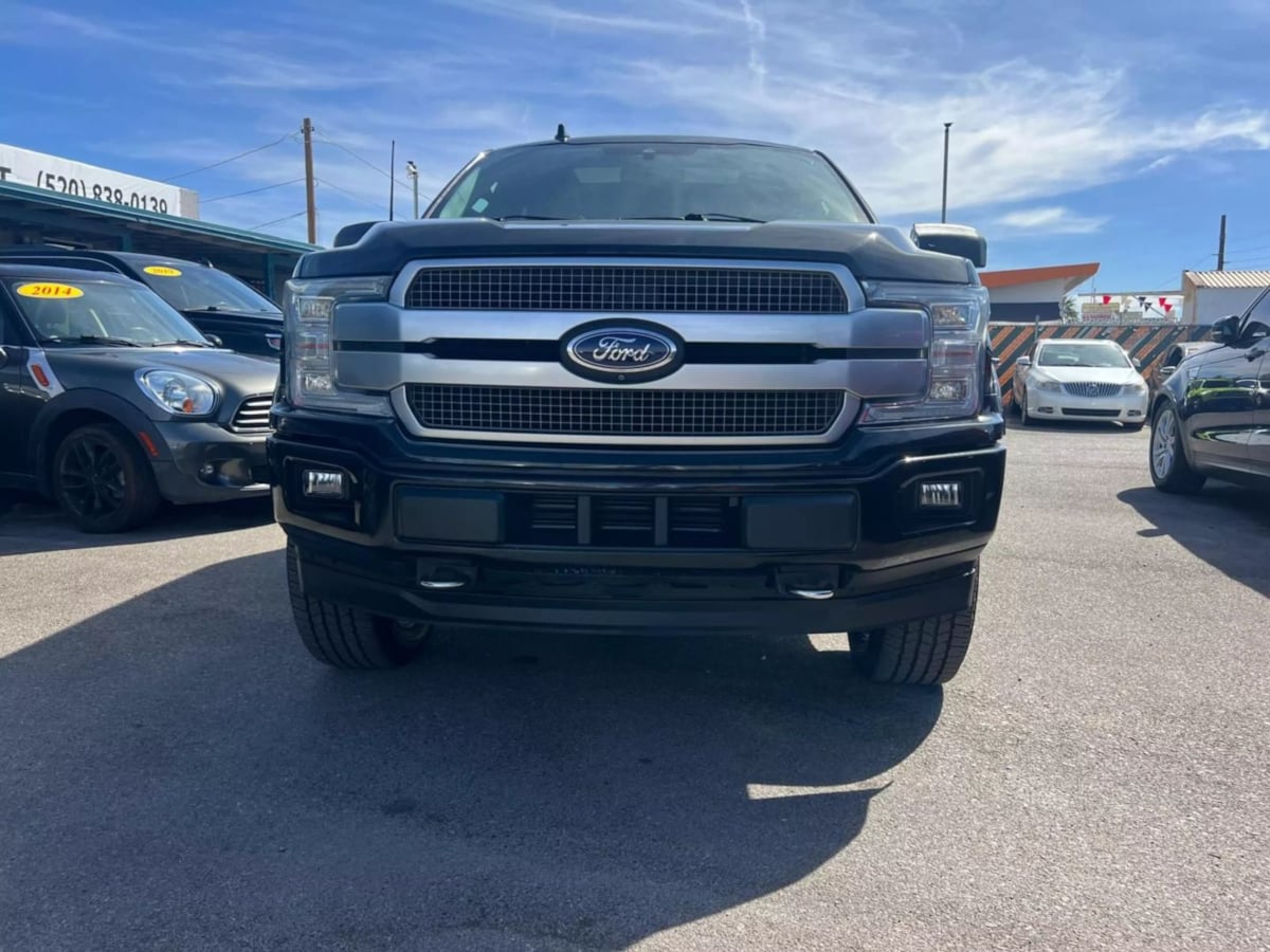 2019 Ford F-150 Platinum photo 3
