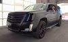 2019 Cadillac Escalade ESV Luxury