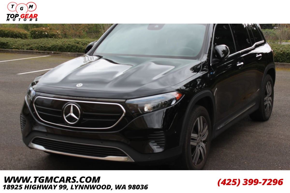 2022 Mercedes-Benz EQB EQB 300's photo