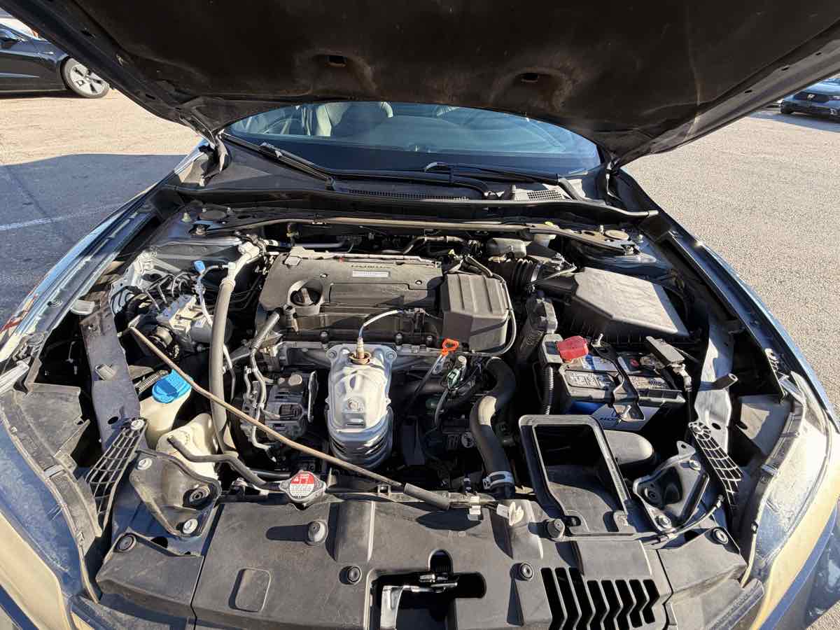 Image #17