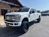 2017 Ford Super Duty F-250 SRW Platinum